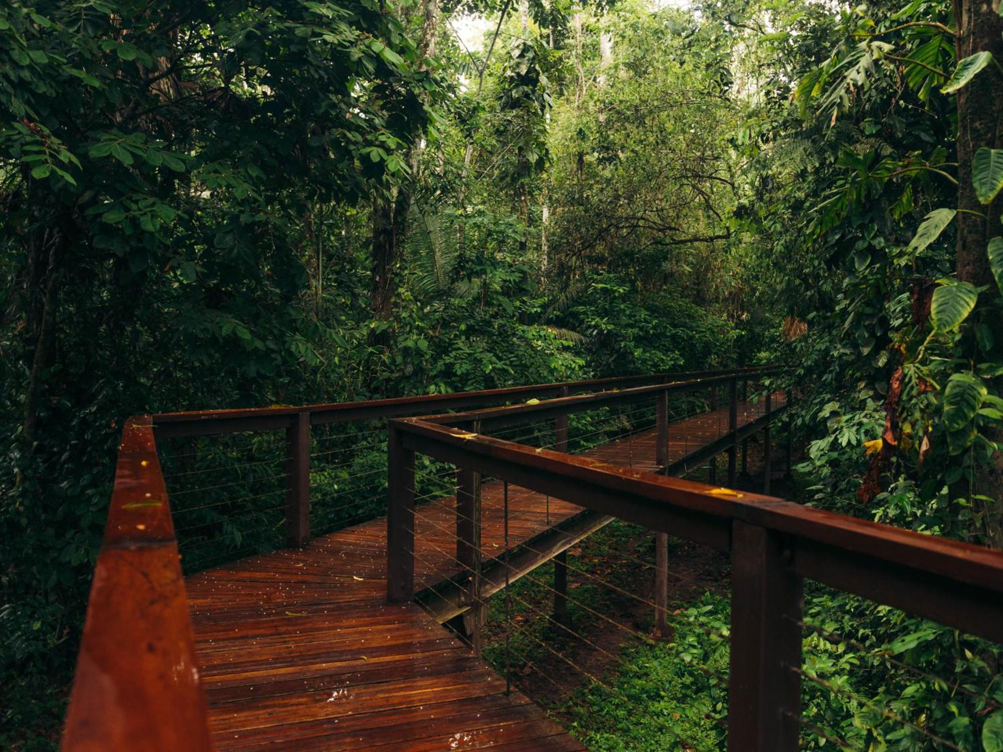 Tambopata Research Center Villa Eksteriør billede