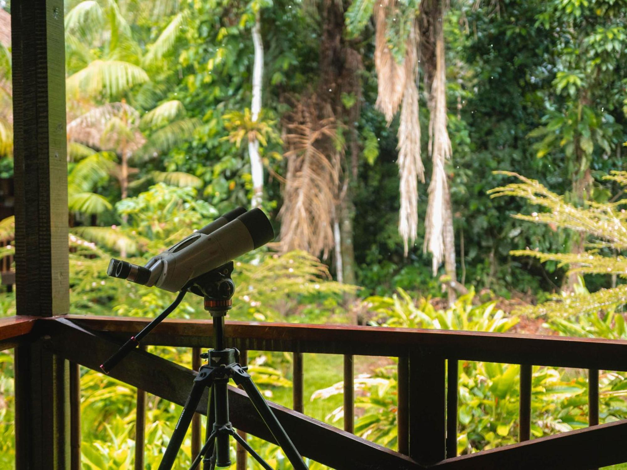 Tambopata Research Center Villa Eksteriør billede
